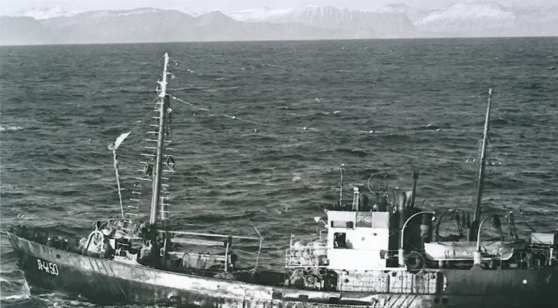 SRT 4150 CHEBOKSARY Fishing Vessel IMO 6867797