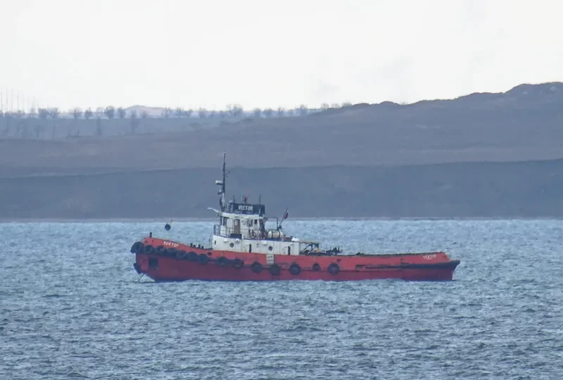 VECTOR General Cargo IMO 6873746