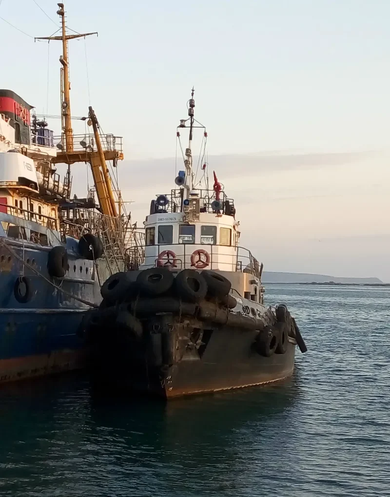 VASILIY KIRILLOV General Cargo IMO 6874829 photo 2