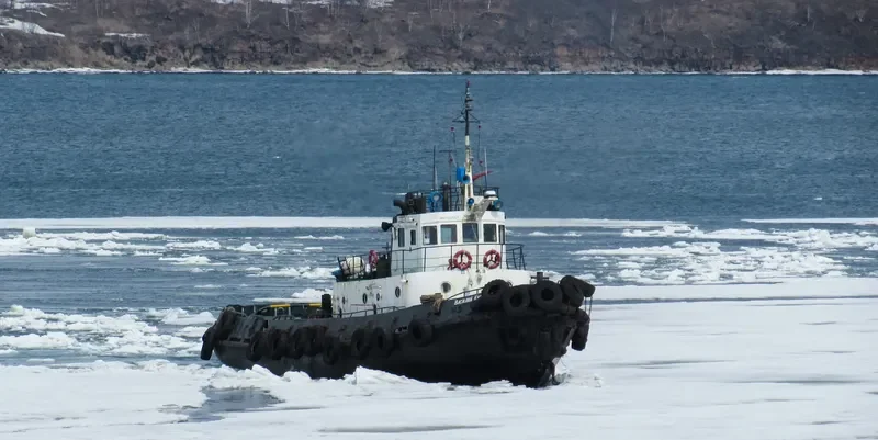 VASILIY KIRILLOV General Cargo IMO 6874829 photo 4