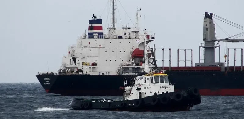 ALBATROS II General Cargo IMO 6900288