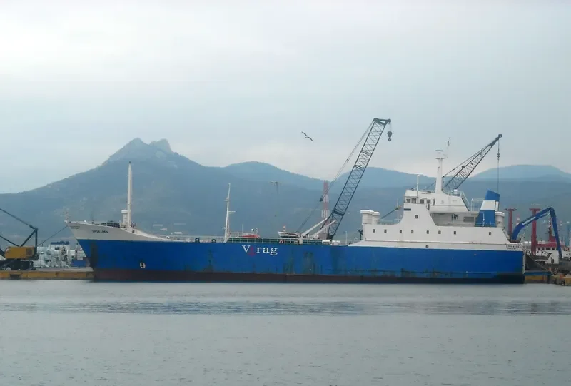 TASIMA Ro-Ro IMO 6900446 photo 3
