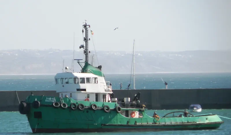 GUARDIAO General Cargo IMO 6901488