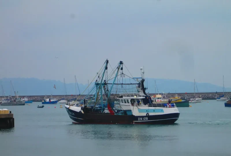 HOLLY ANNE Fishing Vessel IMO 6904519 photo 3