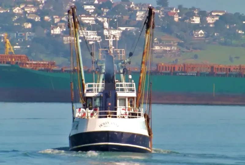 HOLLY ANNE Fishing Vessel IMO 6904519 photo 4