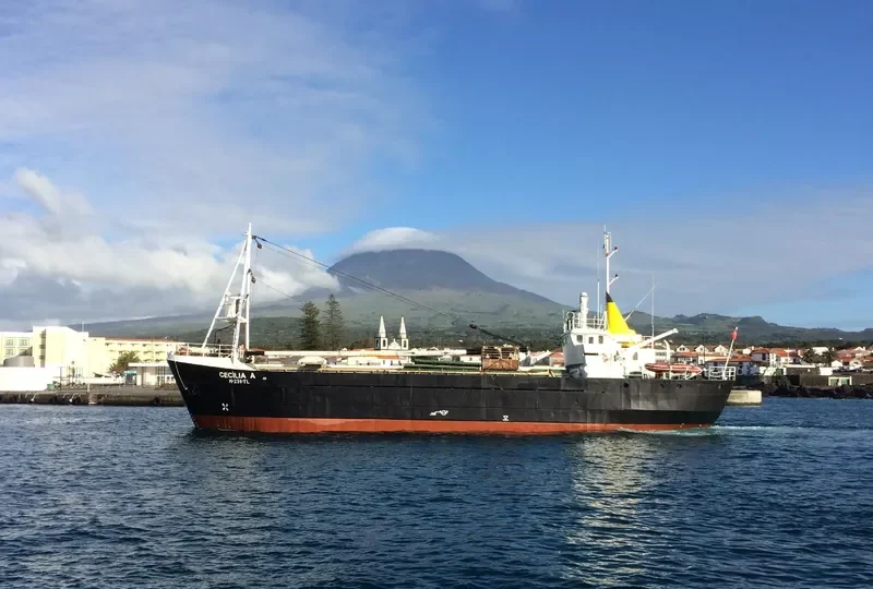 CECILIA A General Cargo IMO 6904870