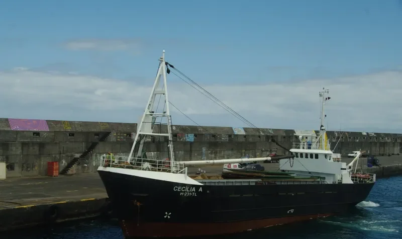 CECILIA A General Cargo IMO 6904870 photo 4