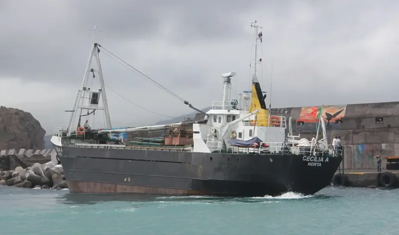 CECILIA A General Cargo IMO 6904870 photo 8