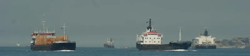 LISA General Cargo IMO 6905331 photo 2