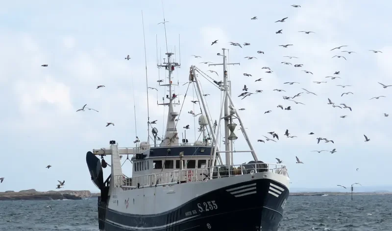NORTH SEA General Cargo IMO 6905355