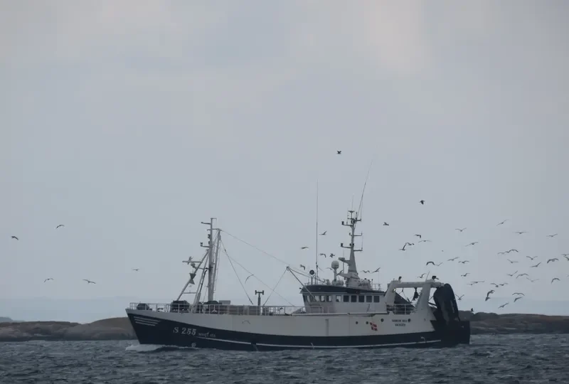 NORTH SEA General Cargo IMO 6905355 photo 5