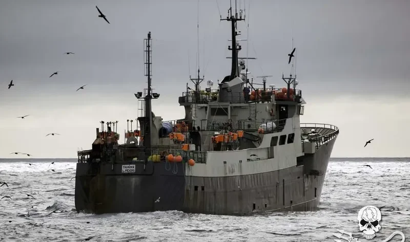 TYPHOON 1 General Cargo IMO 6905408 photo 3