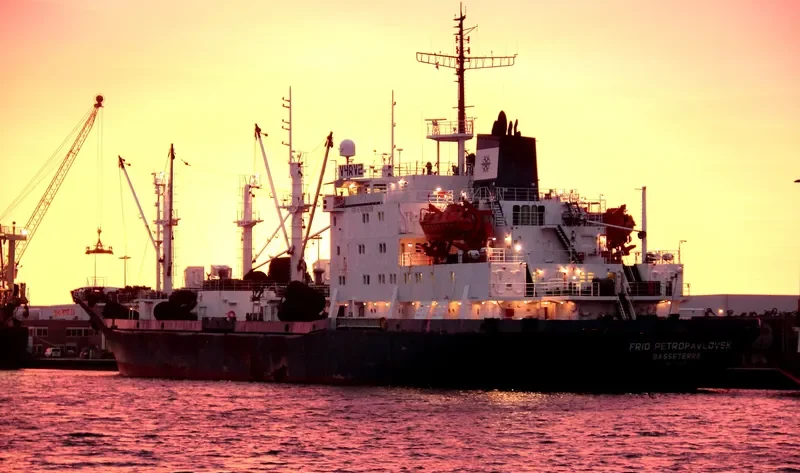 FRIO ANTARCTIC General Cargo IMO 6905654