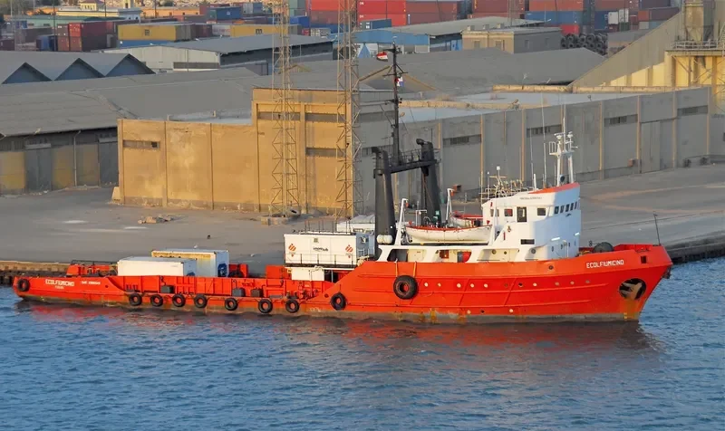 ECOLFIUMICINO Offshore Vessel IMO 6906543 photo 2