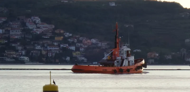 SEA General Cargo IMO 6906737 photo 3