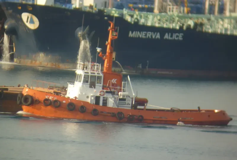 SEA General Cargo IMO 6906737 photo 8