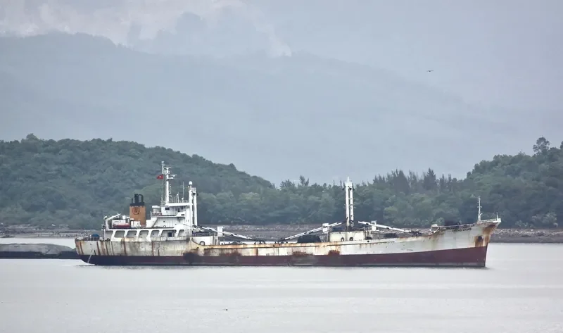 CHUNG CHING General Cargo IMO 6908113