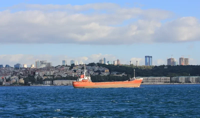 CELTIKCIOAGLU 14 General Cargo IMO 6909715 photo 6