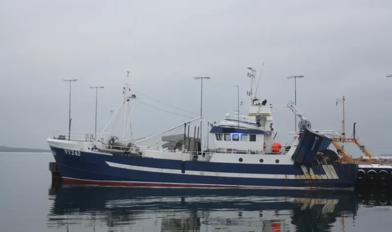 VESTLAND Fishing Vessel IMO 6909985 photo 3