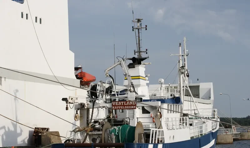 VESTLAND Fishing Vessel IMO 6909985 photo 5