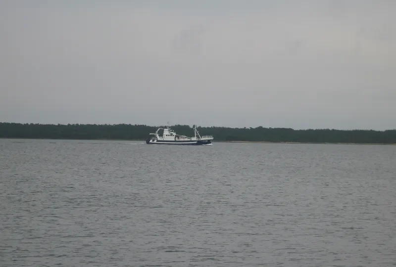 VESTLAND Fishing Vessel IMO 6909985 photo 10