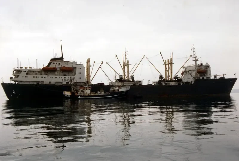 PLAVNIEKI General Cargo IMO 6910362
