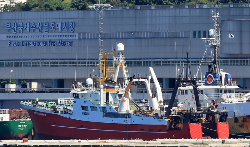 STELLA KARINA General Cargo IMO 6910570 photo 5