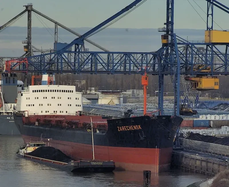 ZARECHENSK Bulk Carrier IMO 6910611 photo 2
