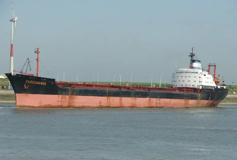 ZARECHENSK Bulk Carrier IMO 6910611 photo 4