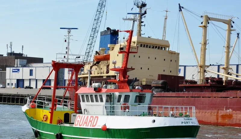 FLAMINGO General Cargo IMO 6911861