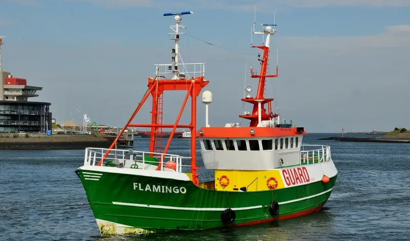 FLAMINGO General Cargo IMO 6911861 photo 2