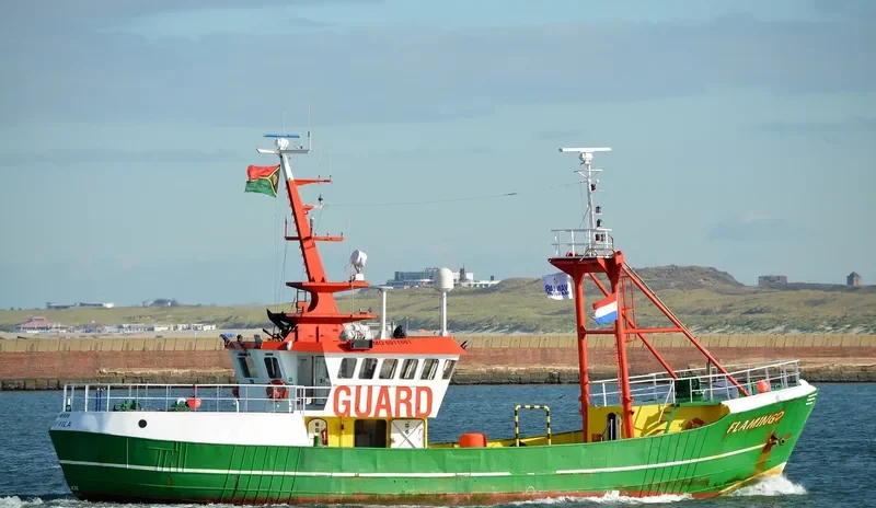 FLAMINGO General Cargo IMO 6911861 photo 5