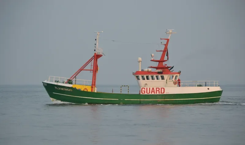 FLAMINGO General Cargo IMO 6911861 photo 6