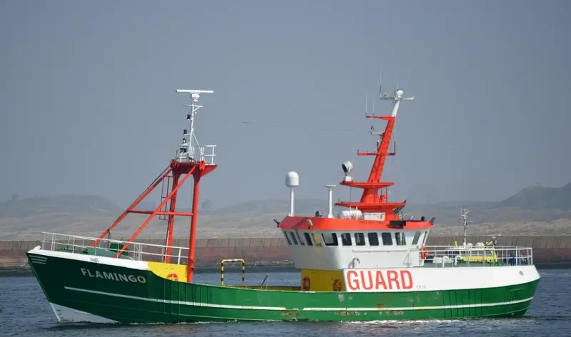 FLAMINGO General Cargo IMO 6911861 photo 7