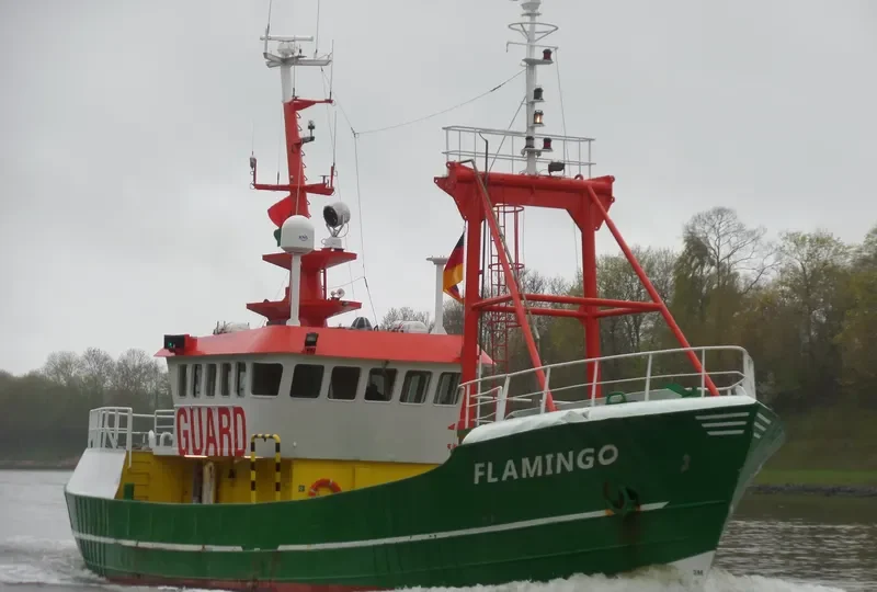 FLAMINGO General Cargo IMO 6911861 photo 9