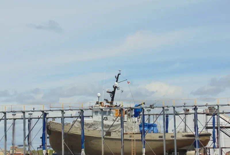 ATLANTIC BEECH Tug Boat IMO 6912437 photo 3