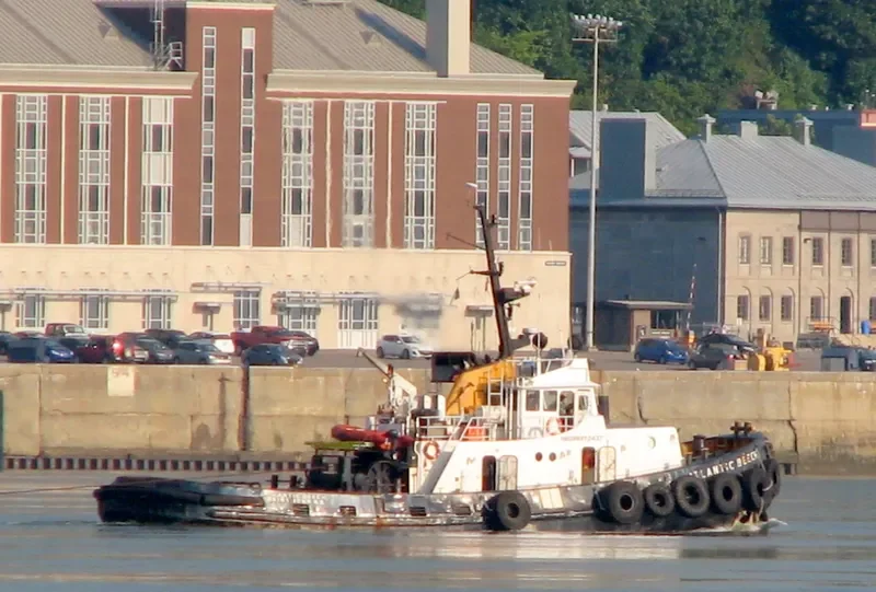ATLANTIC BEECH Tug Boat IMO 6912437 photo 10
