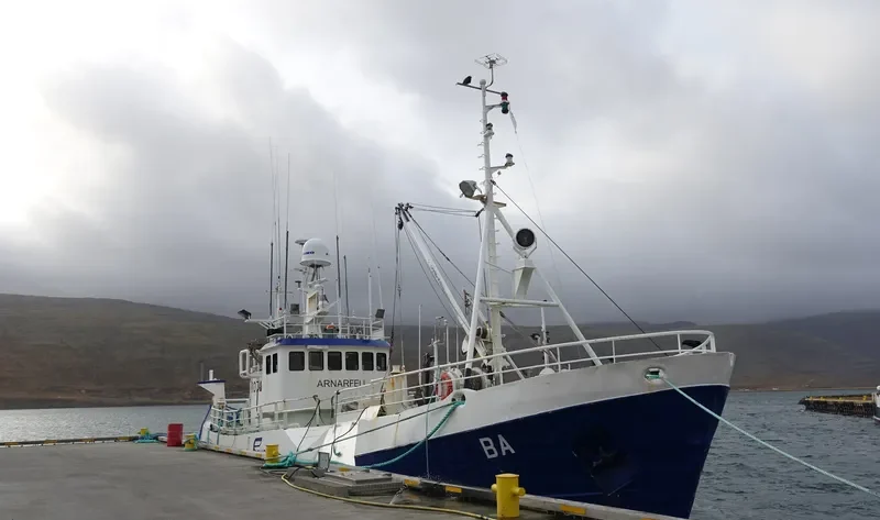 ARNARFELL Standby-Safety Vessel IMO 6912487