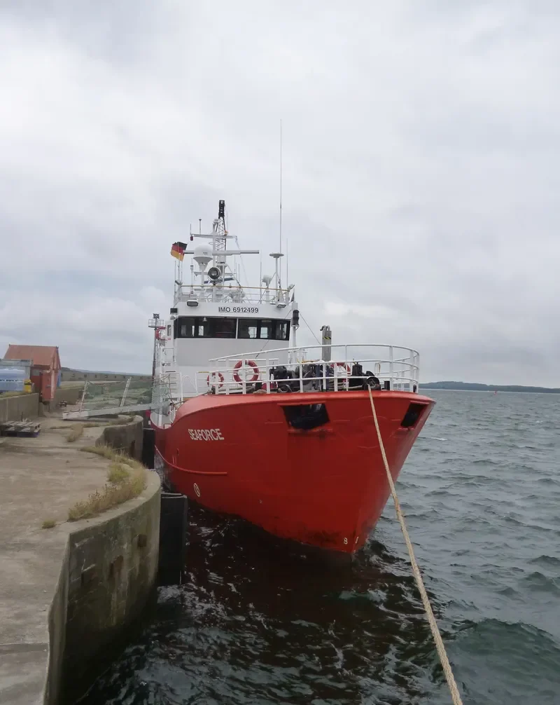 SEAFORCE General Cargo IMO 6912499