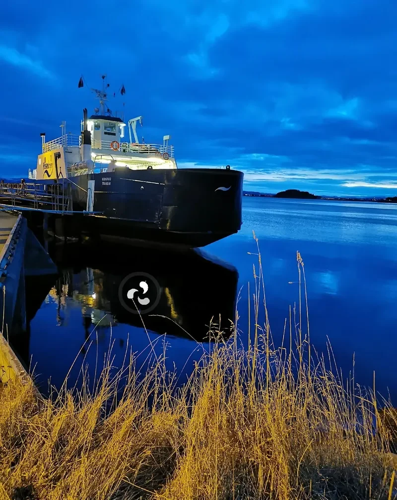 NIDAROS Ro-Ro IMO 6912530 photo 8