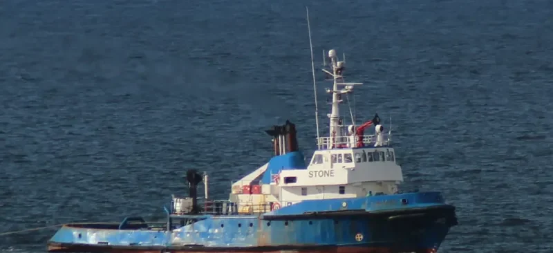 STONE Tug Boat IMO 6917516 photo 7