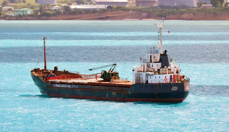 CAERUS General Cargo IMO 6919837 photo 9