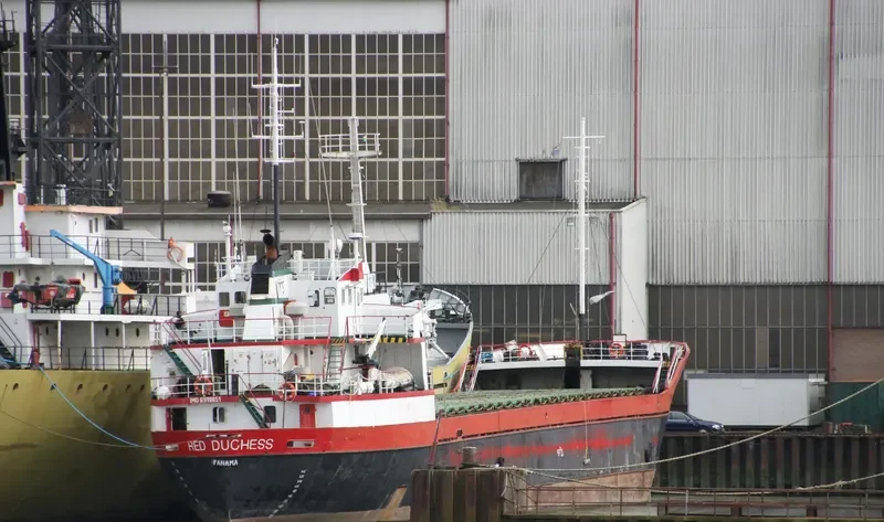 RED DUCHESS General Cargo IMO 6919851