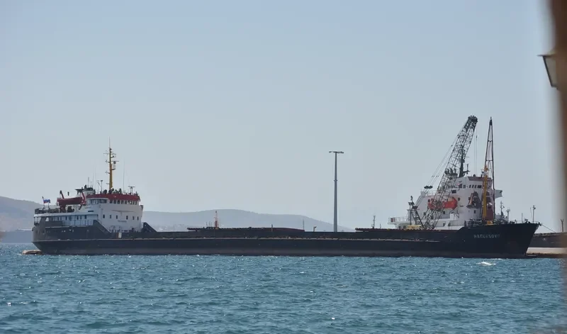 NARUKSOVO General Cargo IMO 6920082 photo 2