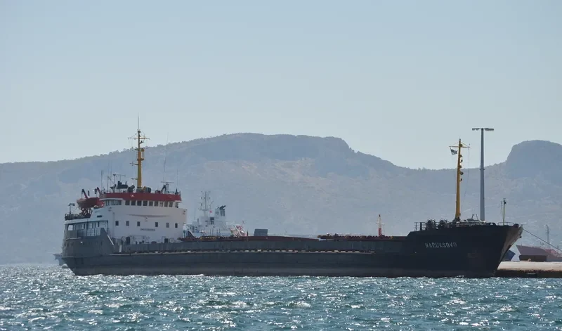 NARUKSOVO General Cargo IMO 6920082 photo 4