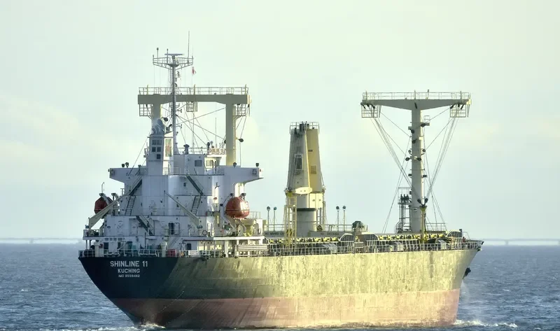 RAJA 3 Ro-Ro IMO 6920472 photo 10