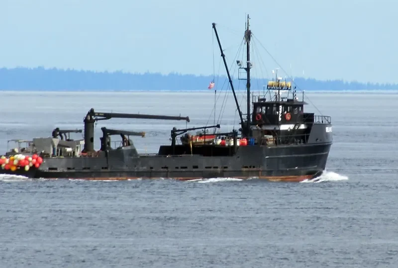 RELIANCE General Cargo IMO 6921270 photo 10