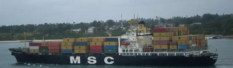 MSC STEFANIA Container Ship IMO 6921969
