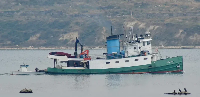 VOLUJA Fishing Vessel IMO 6922157