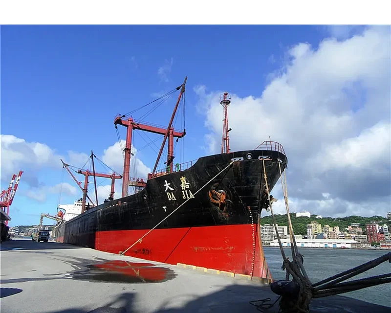 DA JIA Bulk Carrier IMO 6922509 photo 2
